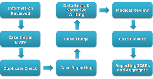 Literature review themes